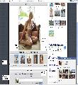wp PHOTO GALLERY website script+800 photo, ADSENSE ,FACEBOOK,...(WITH SUPPORT)