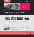 picture:130 SELECTED WEBSITE WEB PAGE HTML5+CSS Design Templates